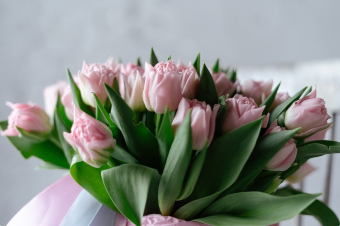 flowers as a gift depending on personality